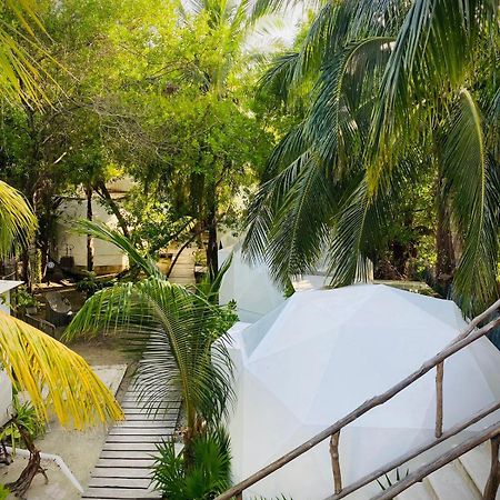 Frequency Hotell Holbox  Eksteriør bilde