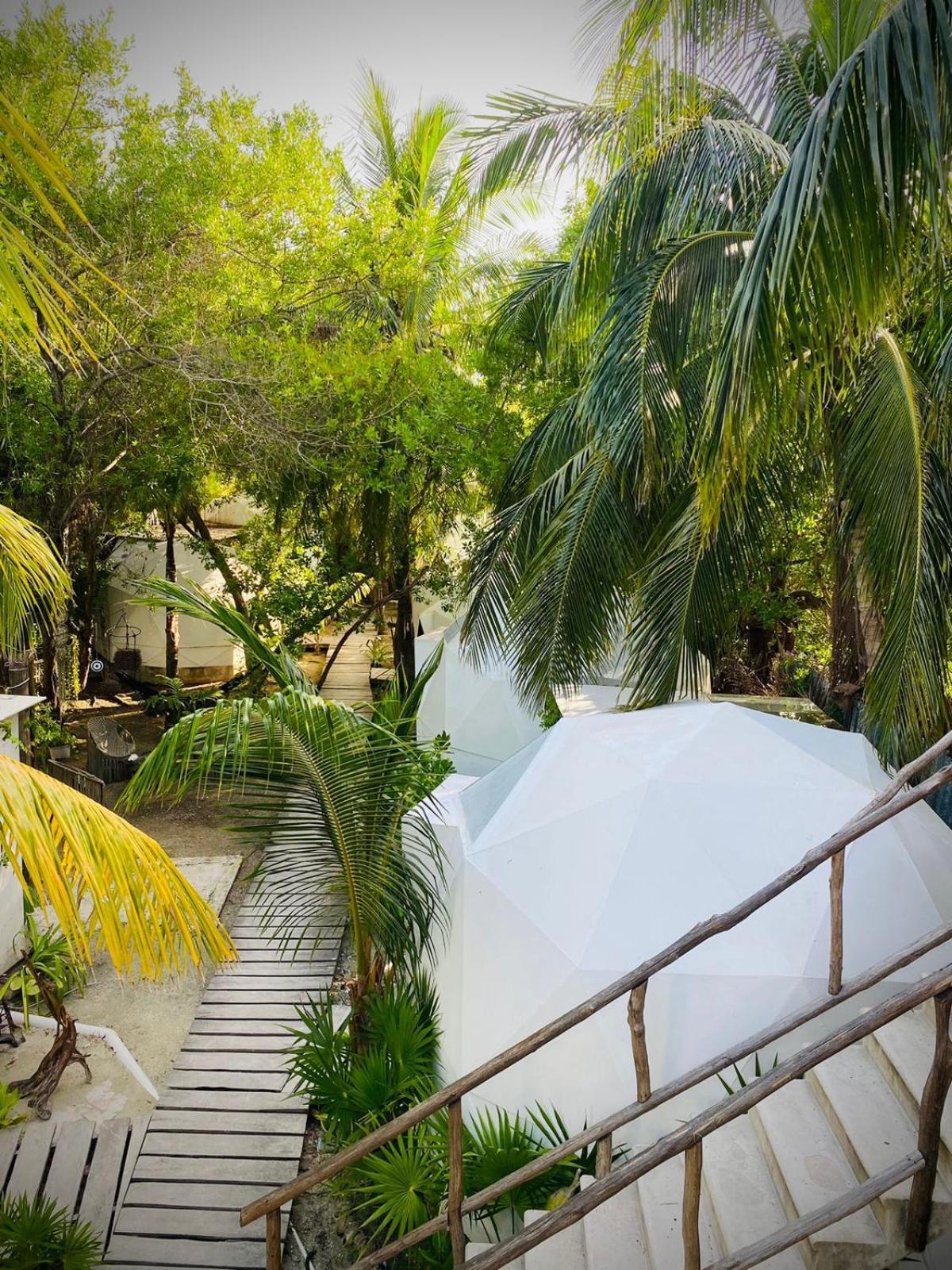 Frequency Hotell Holbox  Eksteriør bilde